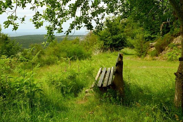 波兰队以防 波兰队以防