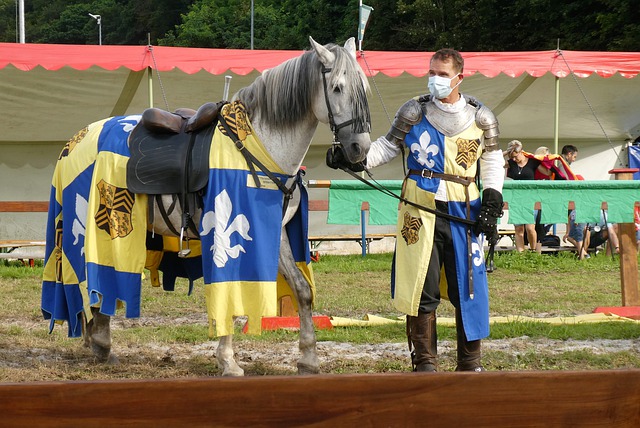 更多的粉丝 更多的粉丝