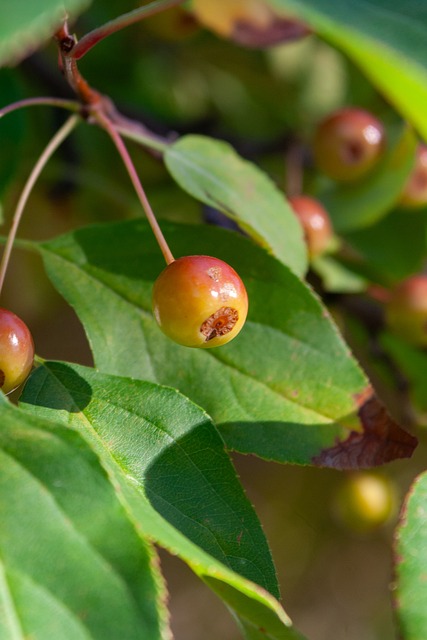 在困境下
